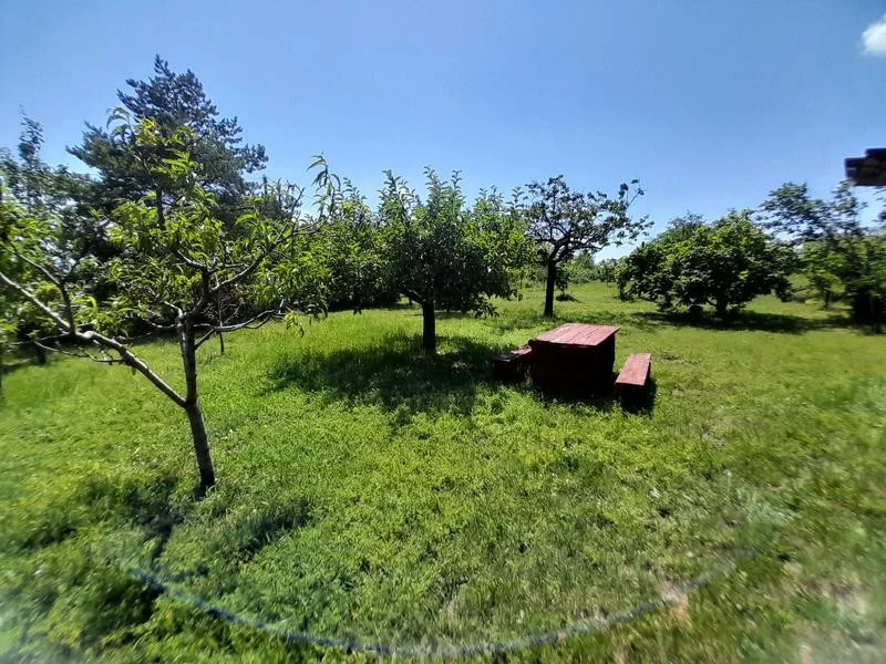 Eladó zártkerti telek Pécs nyugati részén, a Sáska dűlőben! - Kép 4