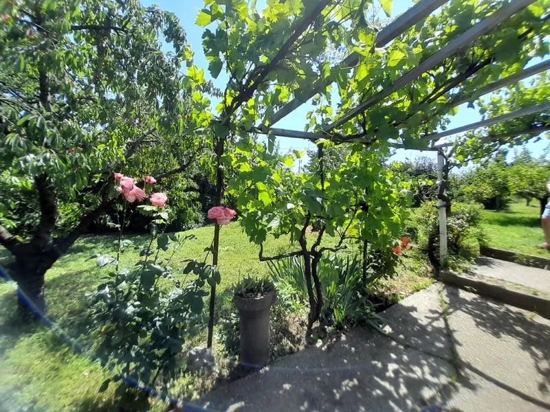 Eladó zártkerti telek Pécs nyugati részén, a Sáska dűlőben! - Kép 7