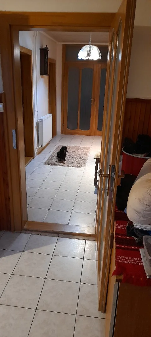 Debrecen Felsőjózsán - Kép 15