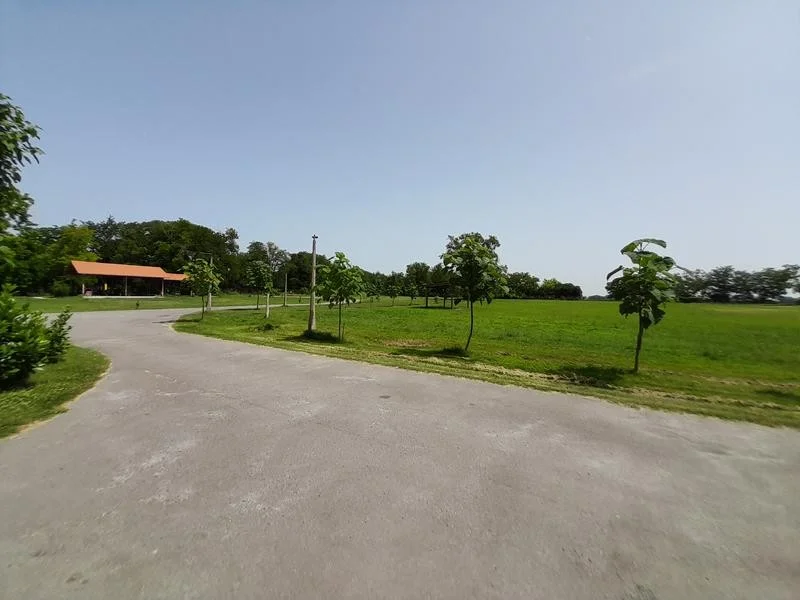 Lovas tanya eladó - Kép 9