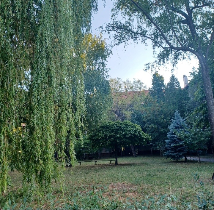 Napfényes magasföldszinti felújított lakás