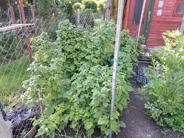 Társasházi lakás Sopronban kert kapcsolattal - Kép 13