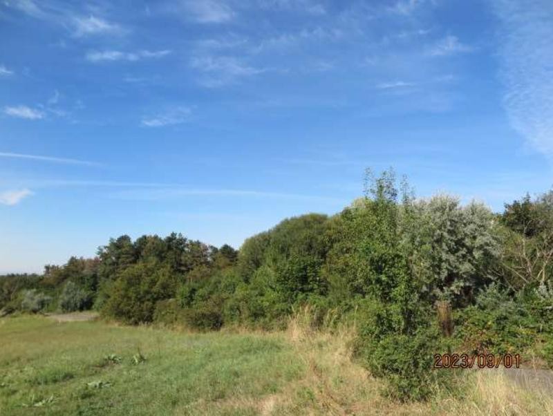 Pécs vonzáskörzetében ipari fejlesztési terület eladó!