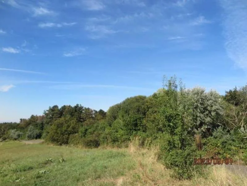 Pécs vonzáskörzetében ipari fejlesztési terület eladó!