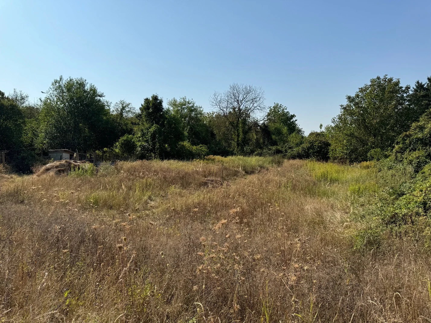 Eladó tanya lakható épület - Kép 3