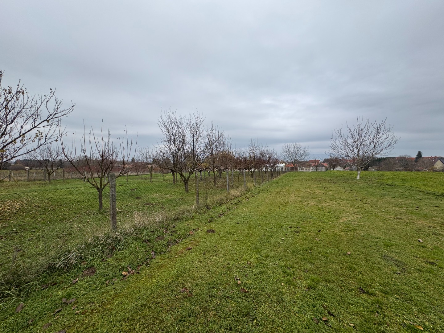 Eladó pécsi építési telek - Kép 2