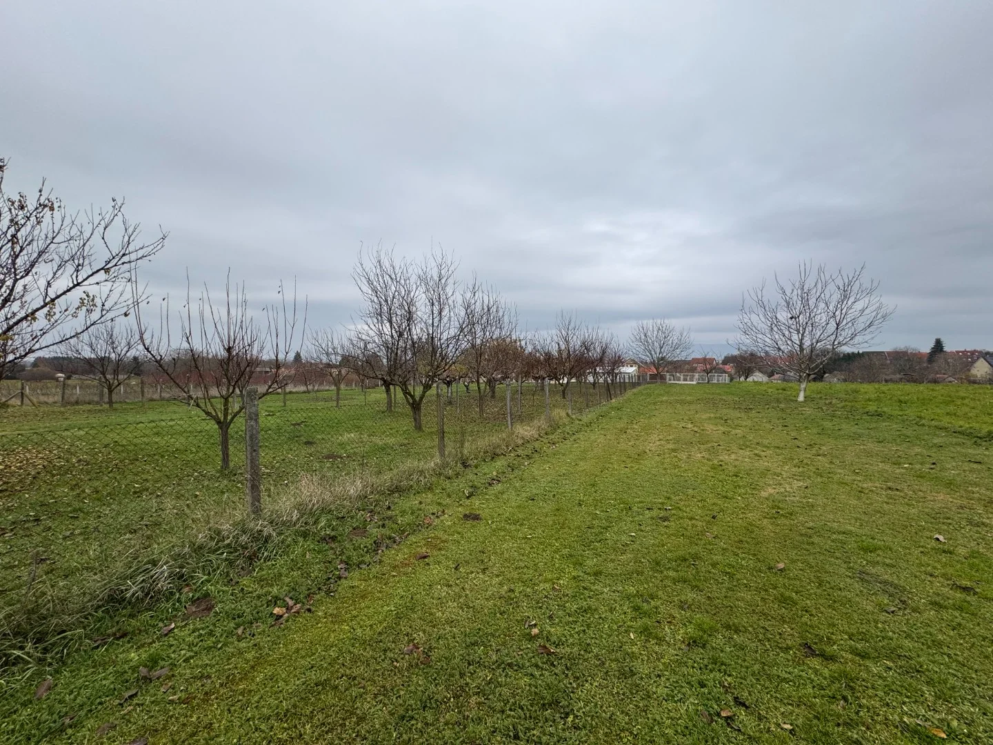 Eladó pécsi építési telek - Kép 2