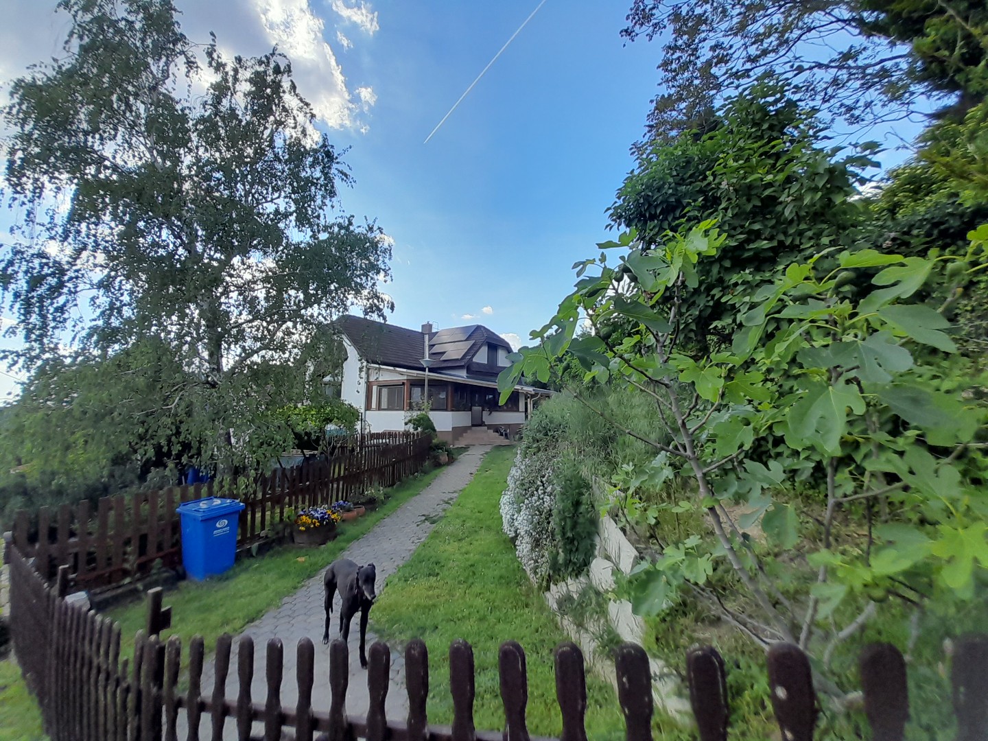 Mecsek-oldalban örökpanorámás 4 hálós, 2 fürdős, napelemes ház eladó - Kép 11