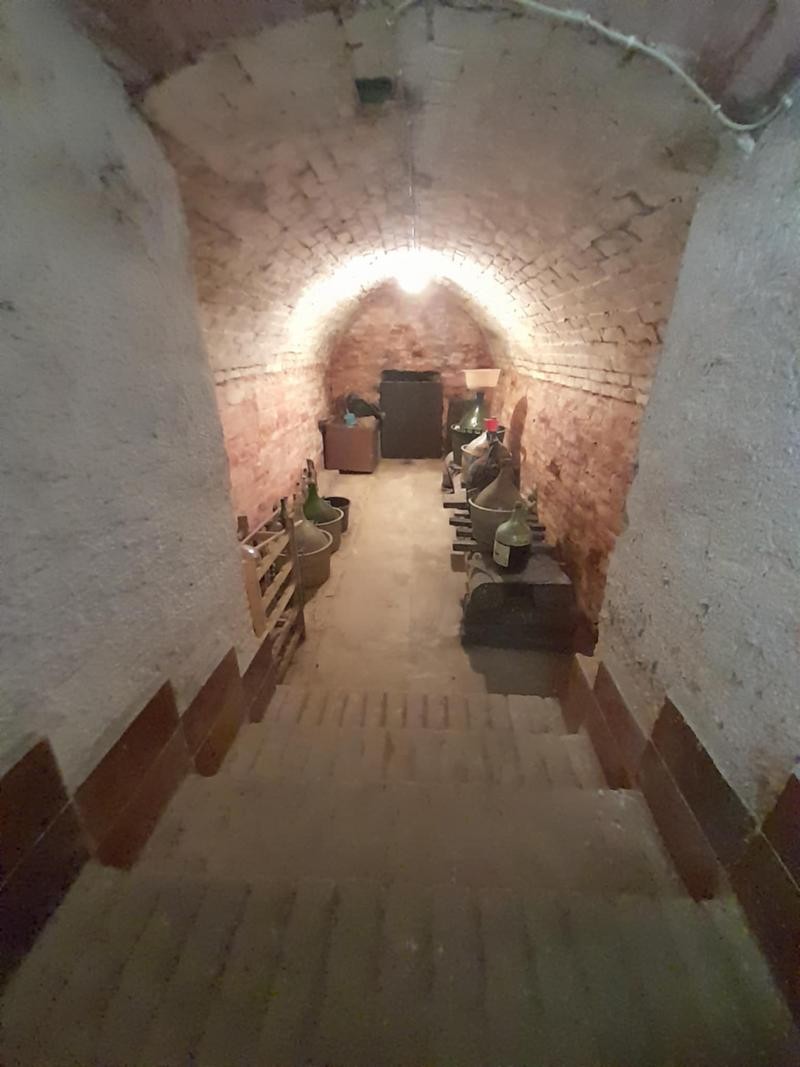 Eladó zártkert Gyódi Szőlőhegyen – Pihenés, Természet, Nyugalom! - Kép 5