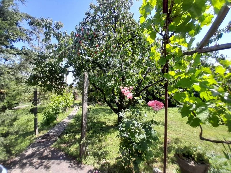 Eladó zártkerti telek Pécs nyugati részén, a Sáska dűlőben! - Kép 6