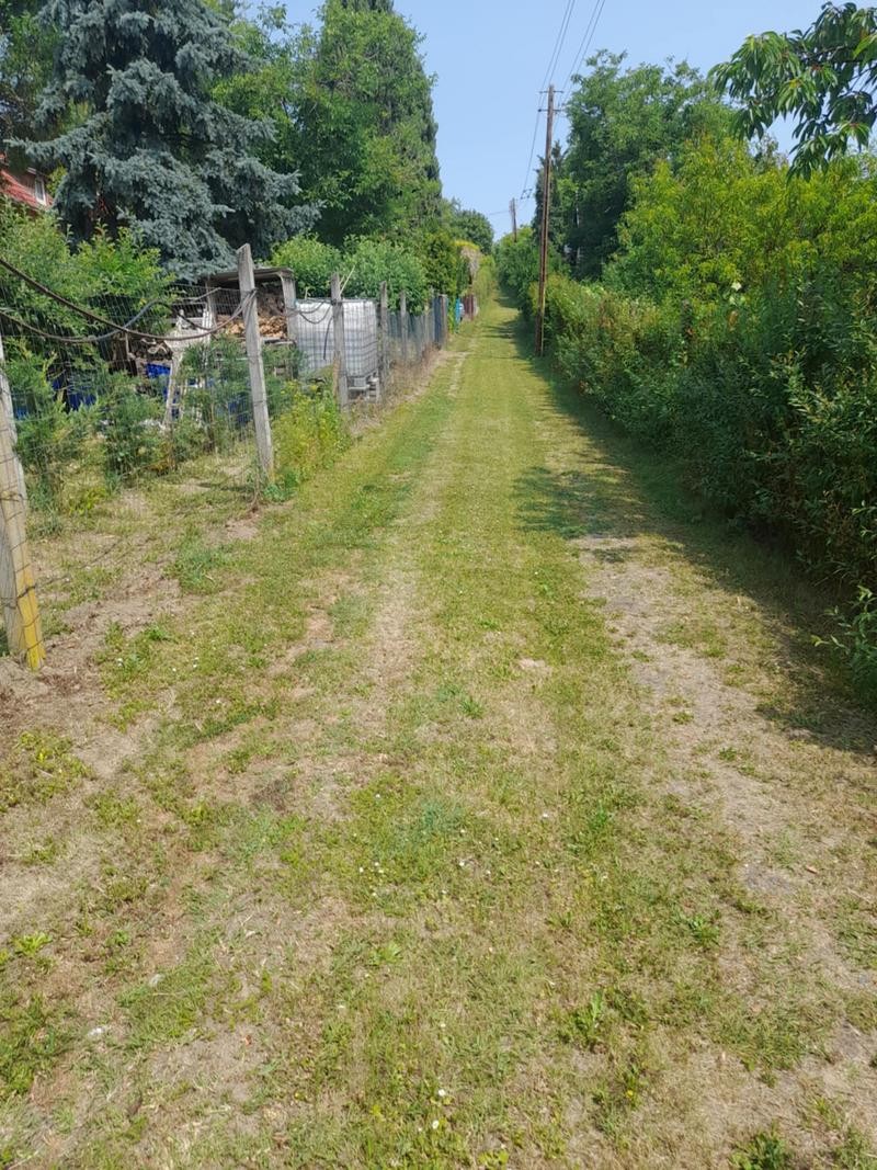 Eladó zártkert Gyódi Szőlőhegyen – Pihenés, Természet, Nyugalom! - Kép 12