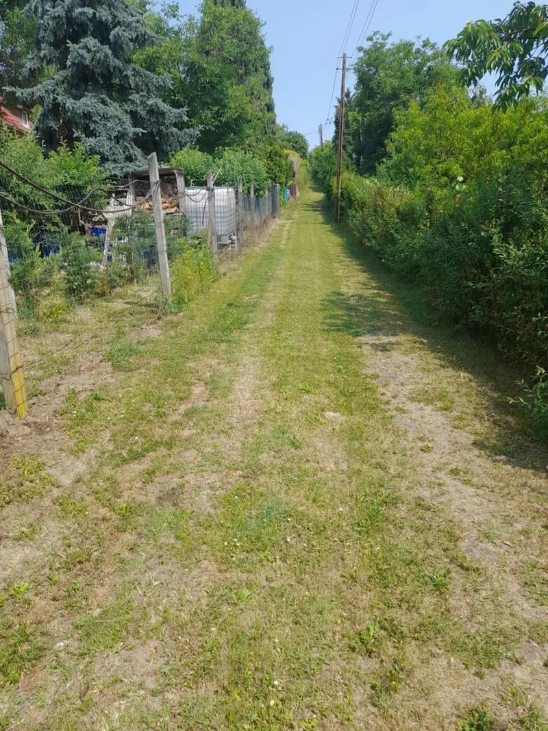 Eladó zártkert Gyódi Szőlőhegyen – Pihenés, Természet, Nyugalom! - Kép 12