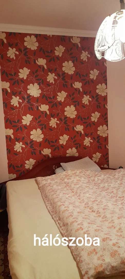 Debrecen Felsőjózsán - Kép 9