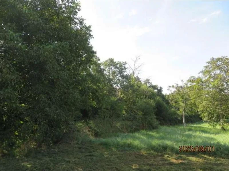 Pécs vonzáskörzetében ipari fejlesztési terület eladó! - Kép 2