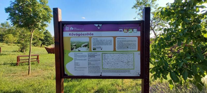 Eladó telek Kővágószőlősön, a Cserkúti úton! - Kép 11