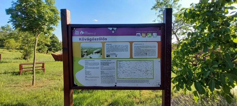 Eladó telek Kővágószőlősön, a Cserkúti úton! - Kép 11