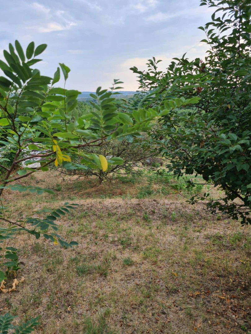 26 m2-es kis ház Gödöllőn, kert művelési ágú külterületi telek, - Kép 3