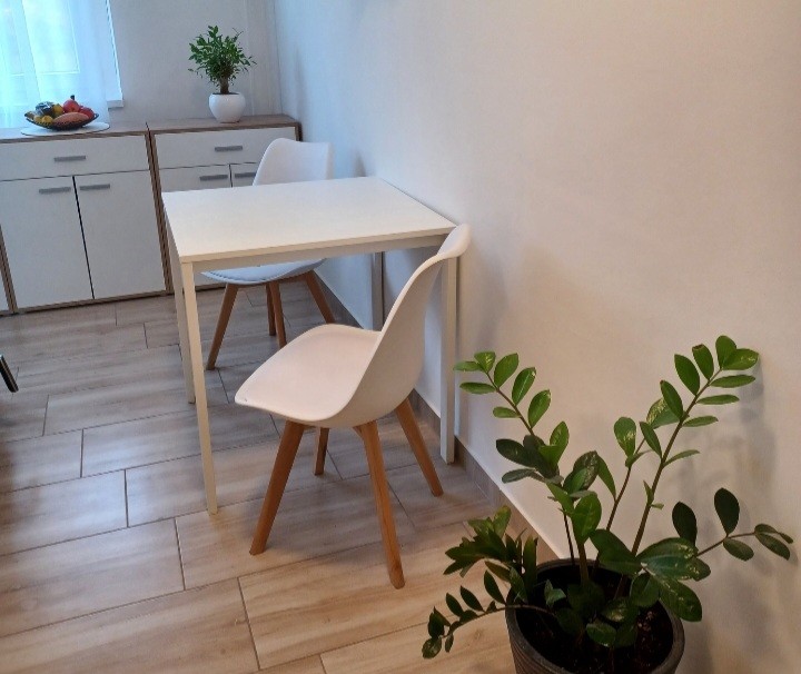 Napfényes magasföldszinti felújított lakás - Kép 7