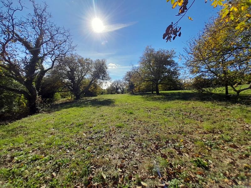 Pécs-Szabolcsi részén 14.000m2-es építési telek eladó!