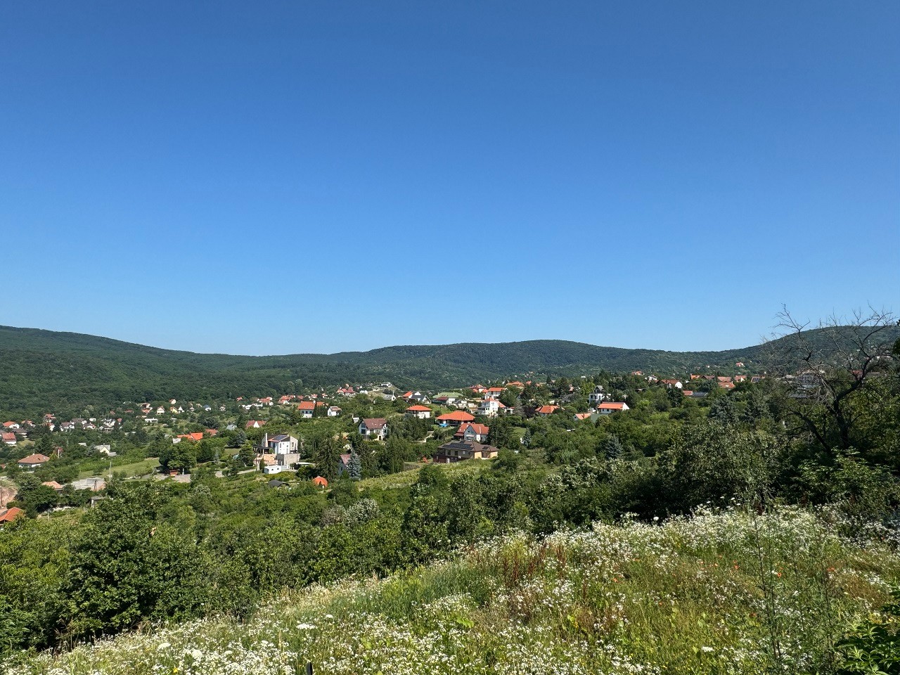 Pécs Donátusi részen, kellemes örök panorámás építési telek eladó! - Kép 3