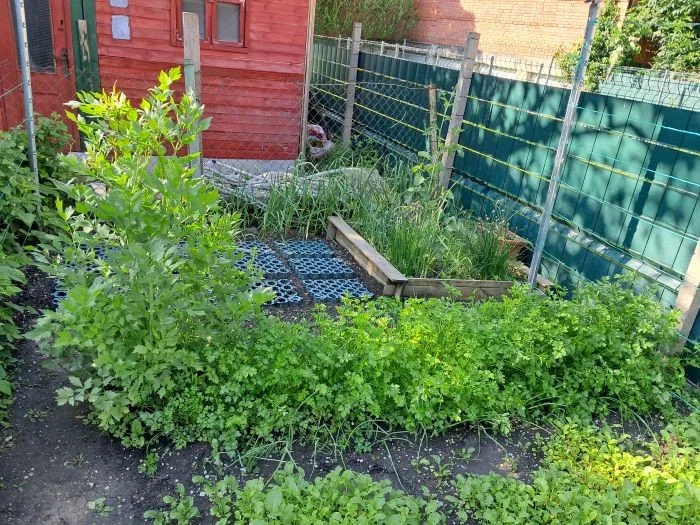 Társasházi lakás Sopronban kert kapcsolattal - Kép 12