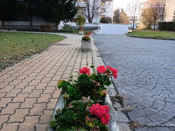 Eladó tégla Győrben - Kép 14