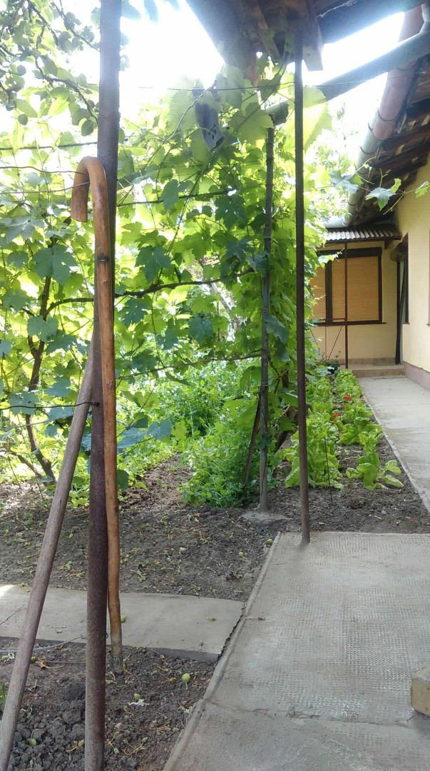 Családi ház eladó - Kép 9