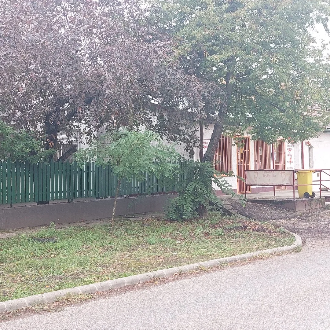 2 generacios tetőteres csaladi ház, 80 m2 üzlettel - Kép 2