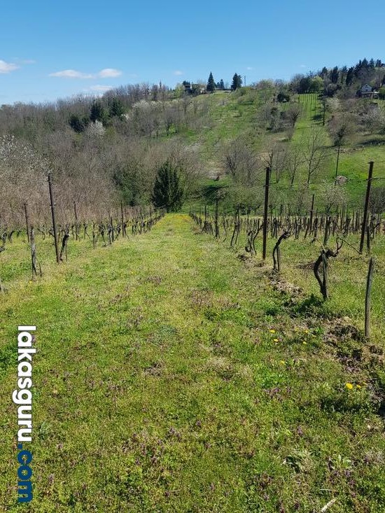Zártkerti Ingatlan Zalaegerszegen A Csácsi-Hegyen - Panorámával És Különleges Környezettel! - Kép 2