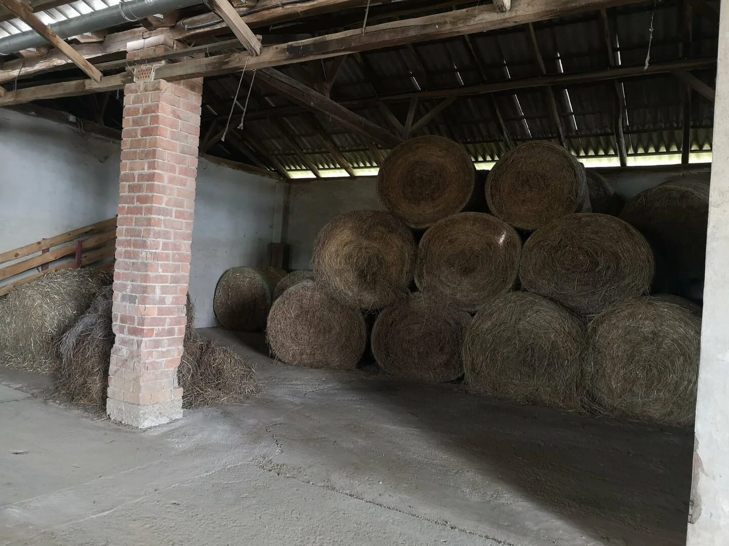 KIADÓ 600 m²-es GAZDASÁGI INGATLAN Lakhegyen - Kép 5