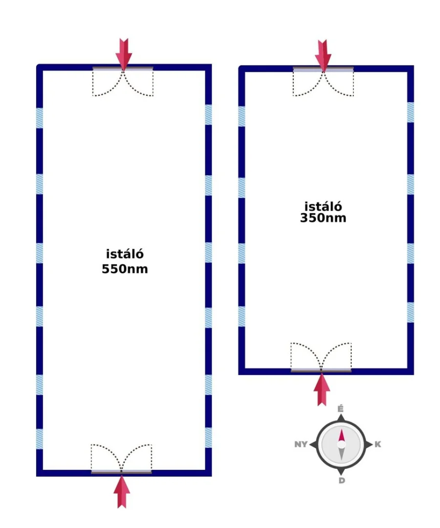 Darány külterületén 8 hektáros major istállókkal eladó - Kép 6