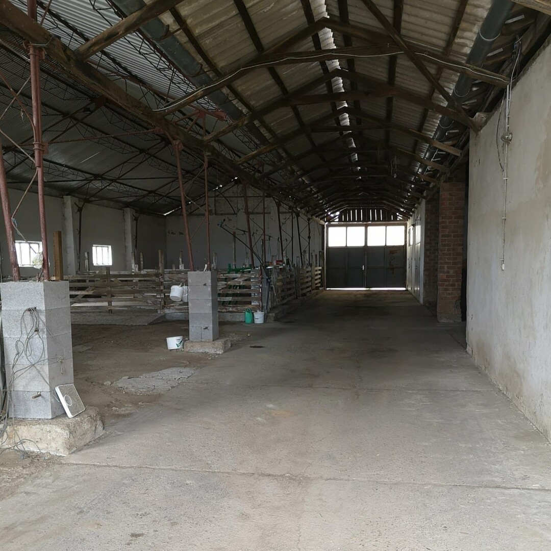 KIADÓ 600 m²-es GAZDASÁGI INGATLAN Lakhegyen