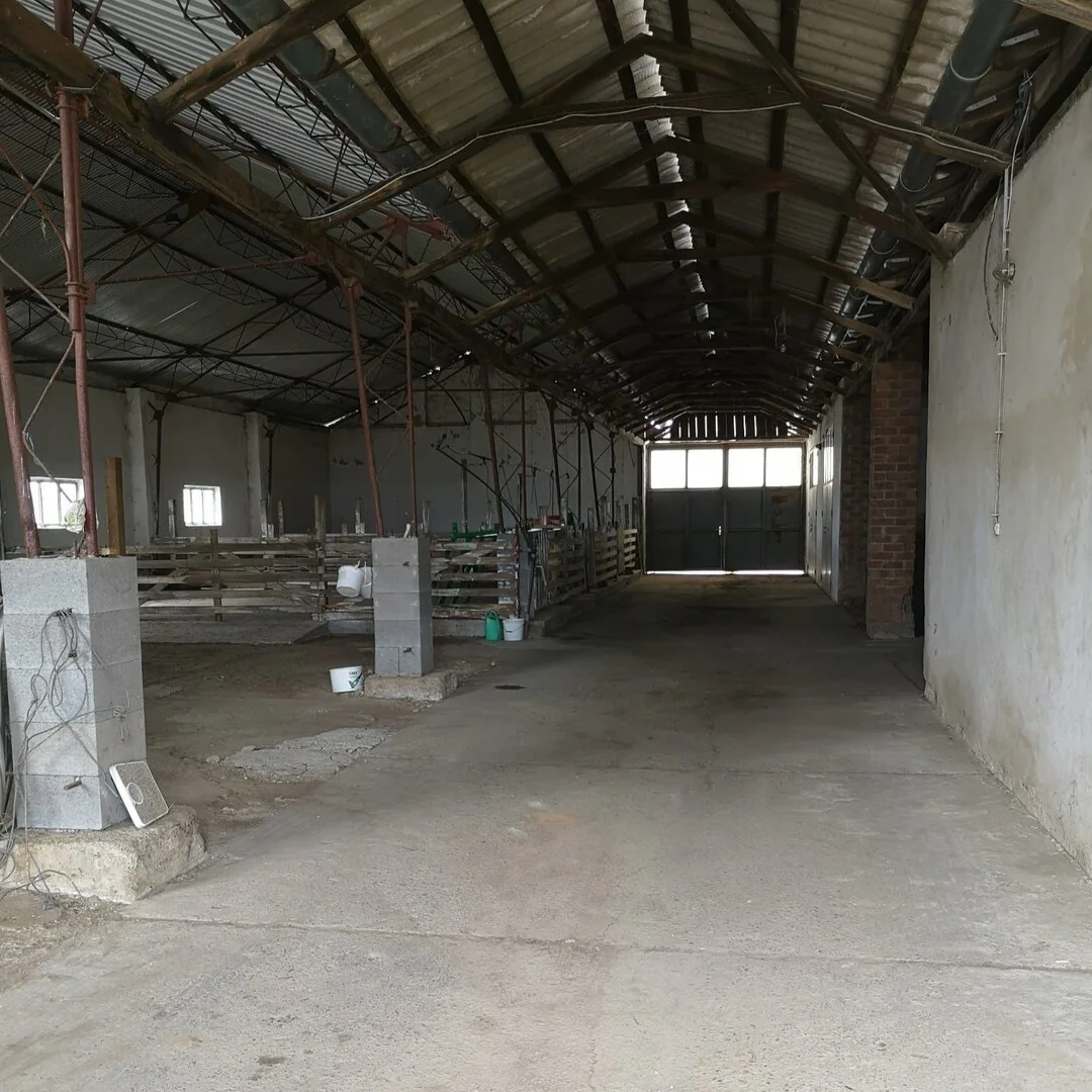 KIADÓ 600 m²-es GAZDASÁGI INGATLAN Lakhegyen