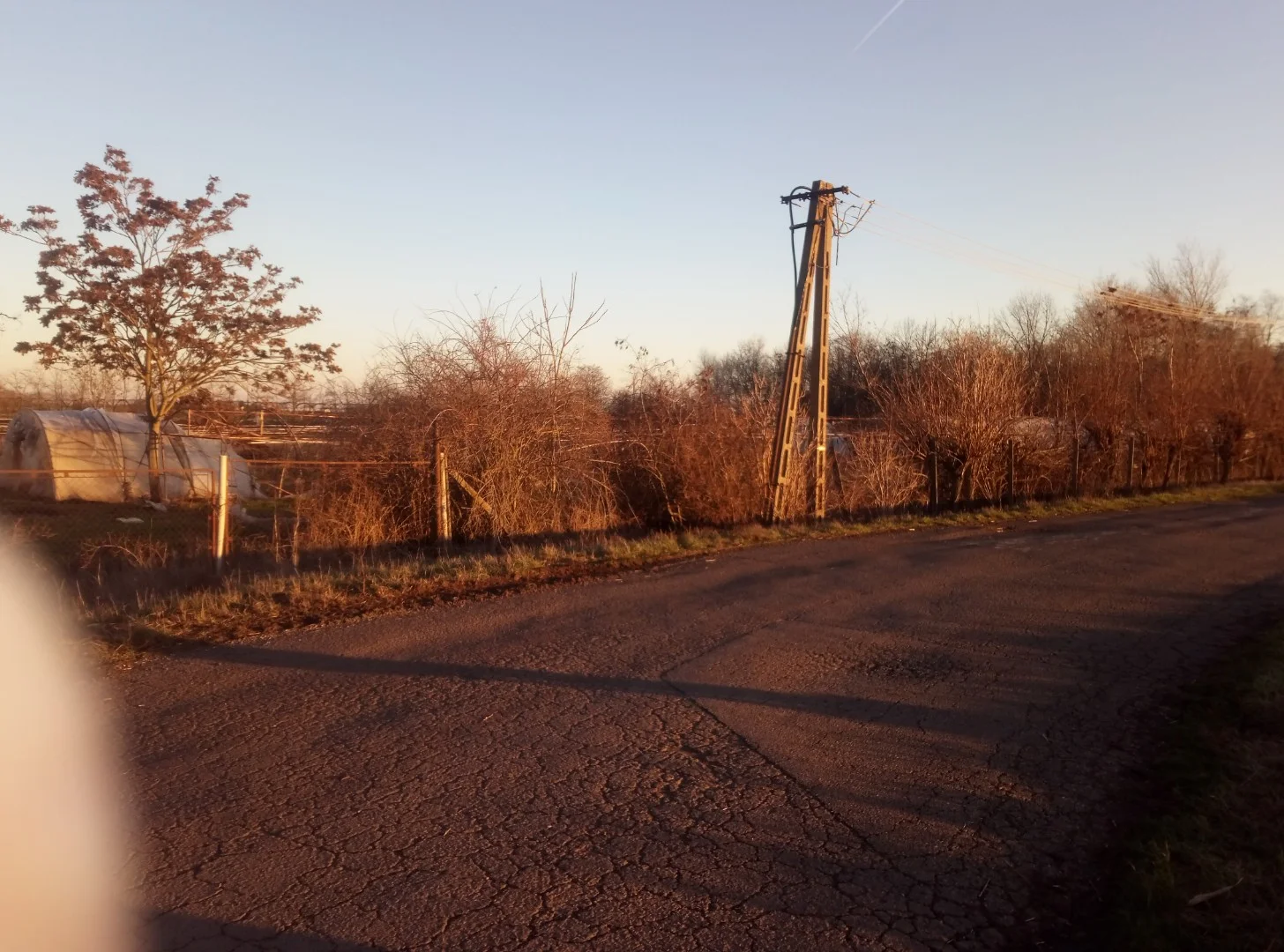 Eladó termőföld, szánó mezőgazdaság Szentesen - Kép 2