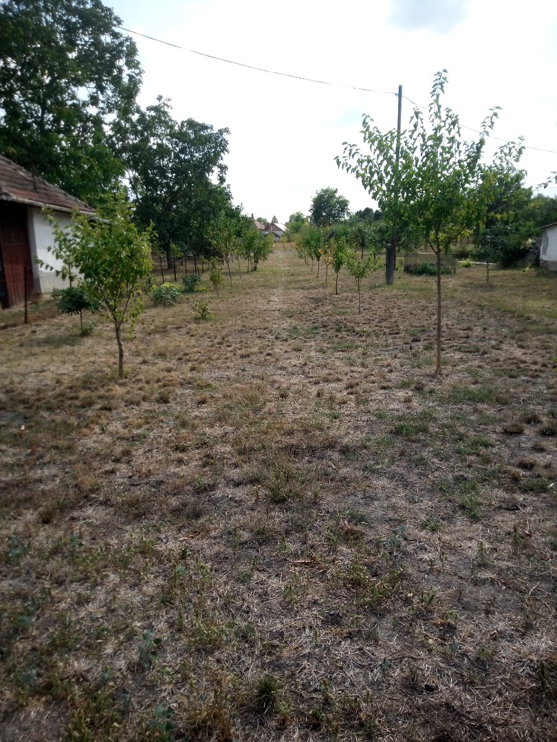 Felújított hétvégi ház - Kép 19