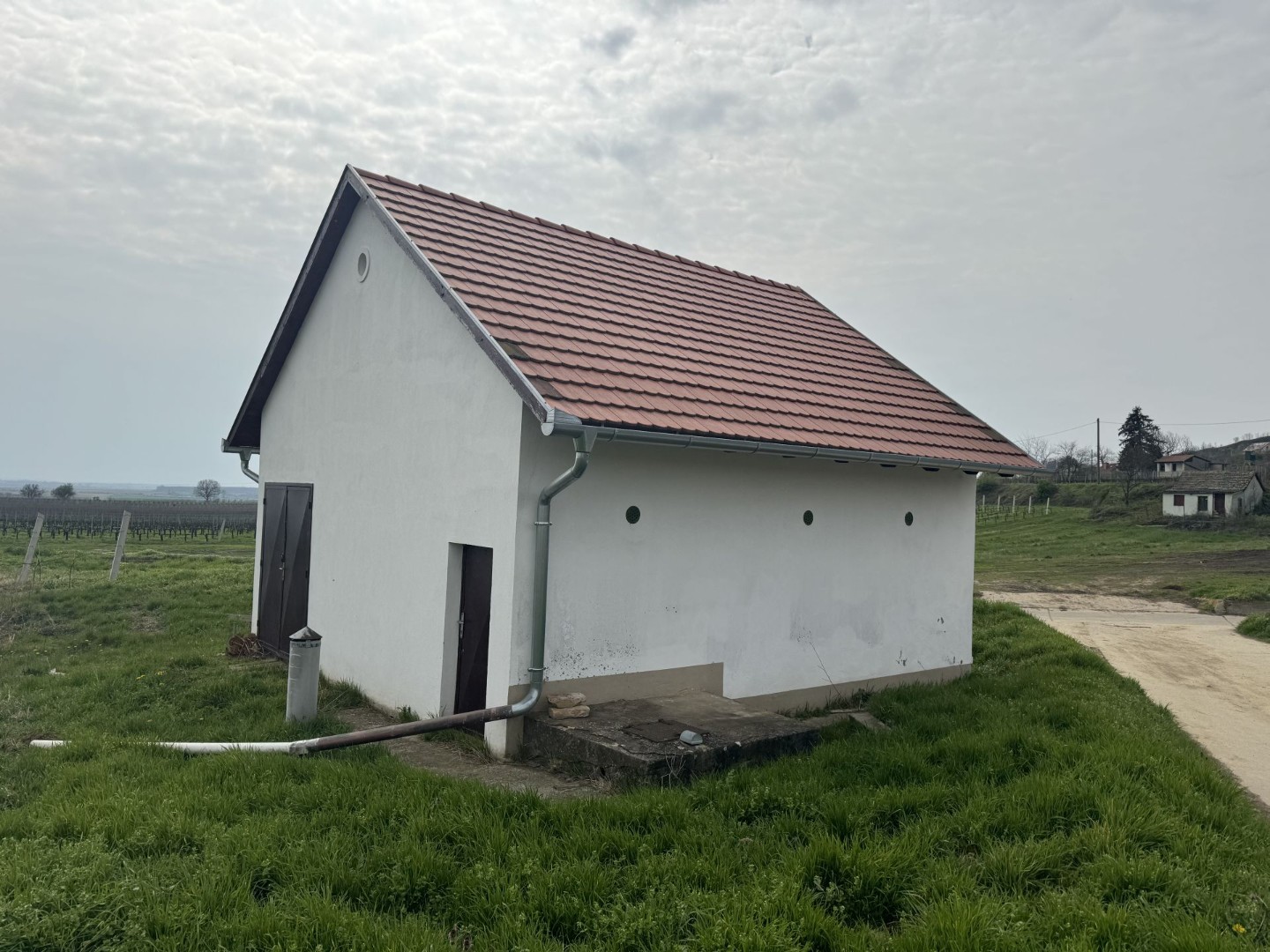 Villány szőlőhegyen présház eladó - Kép 4