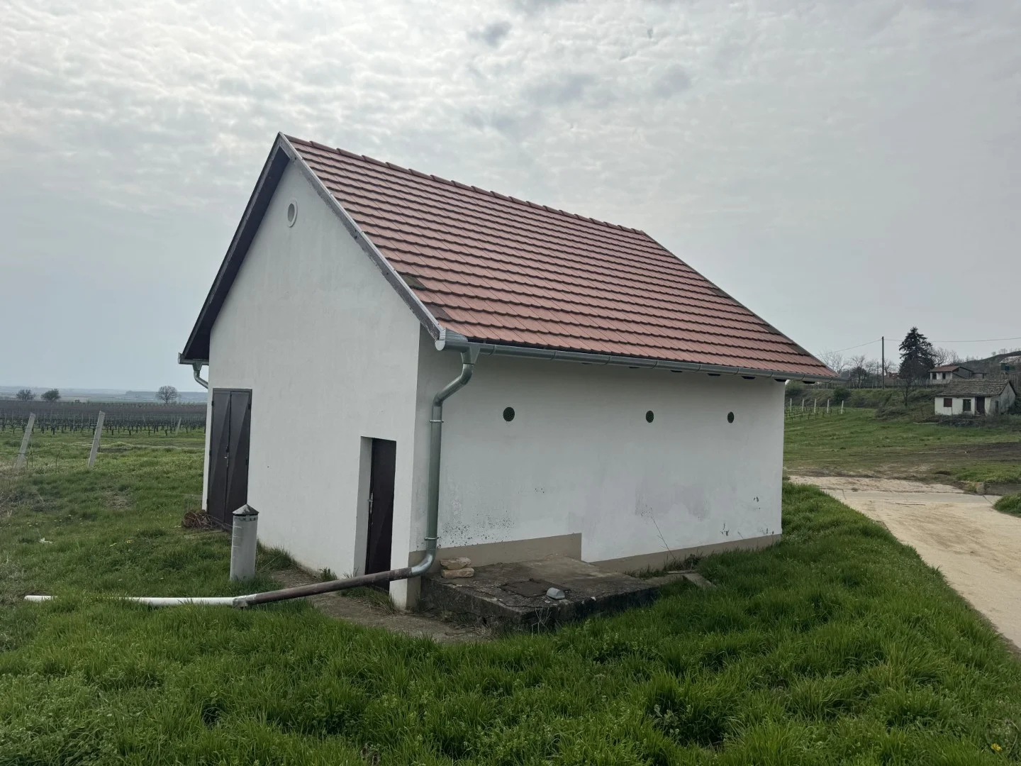 Villány szőlőhegyen présház eladó - Kép 4