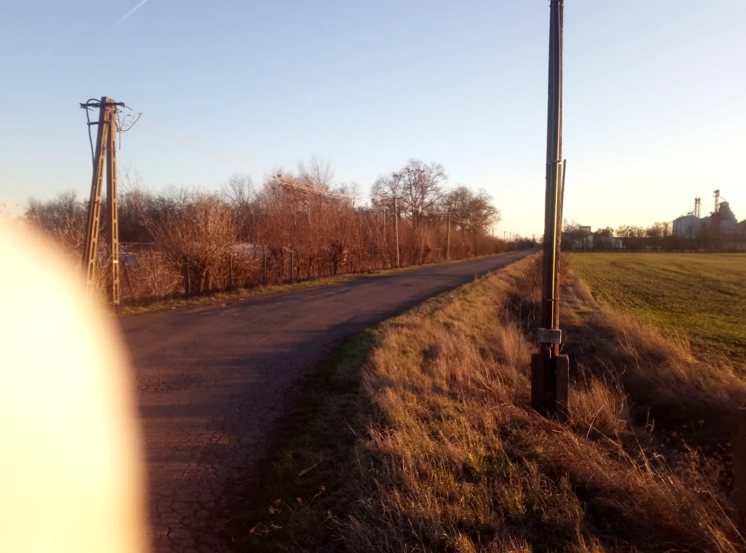 Eladó termőföld, szánó mezőgazdaság Szentesen