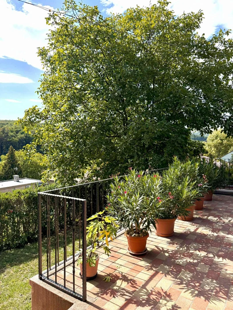 Eladó családi ház Miskolcon - Kép 2