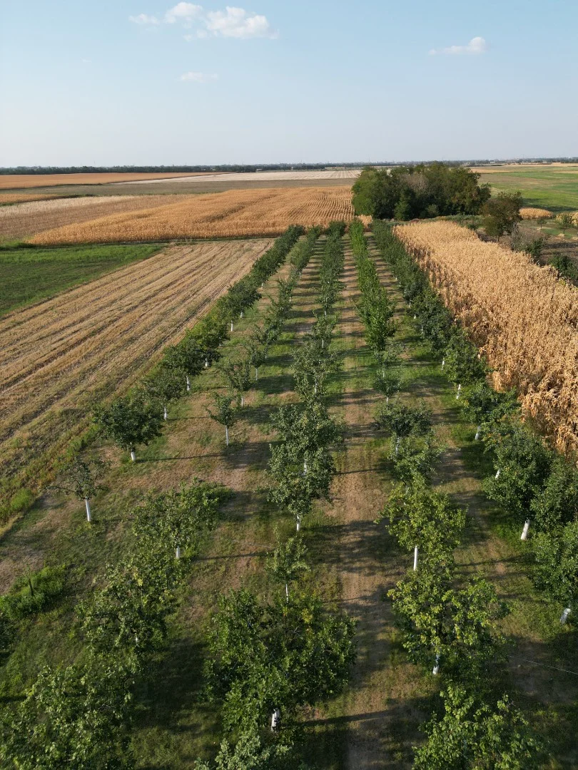 Eladó lakóövezeti telek Szabadkígyóson! - Kép 4