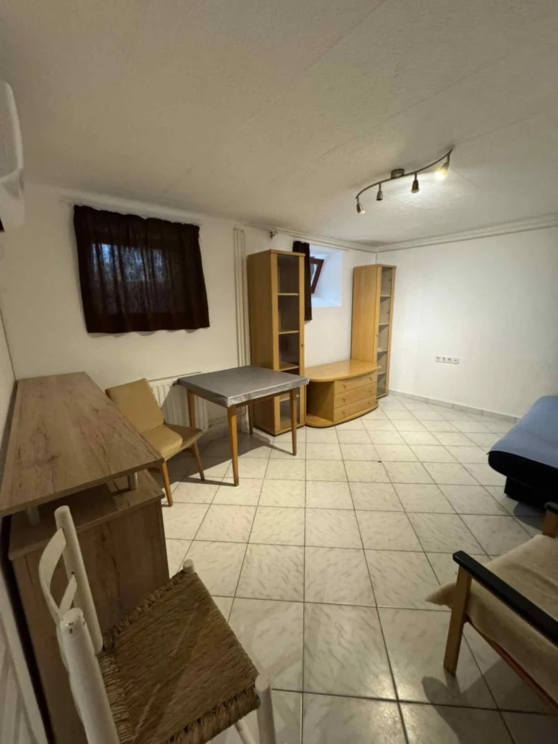 Pécsett belvárosában egy szobás lakás kiadó - Kép 6