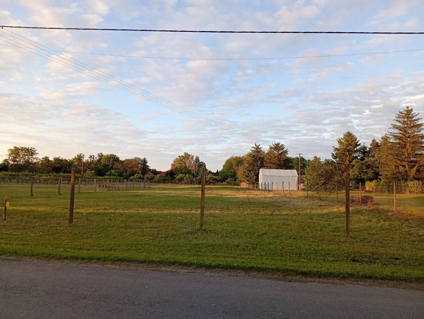 Zártkert, építési telek 3440m² - Kép 7