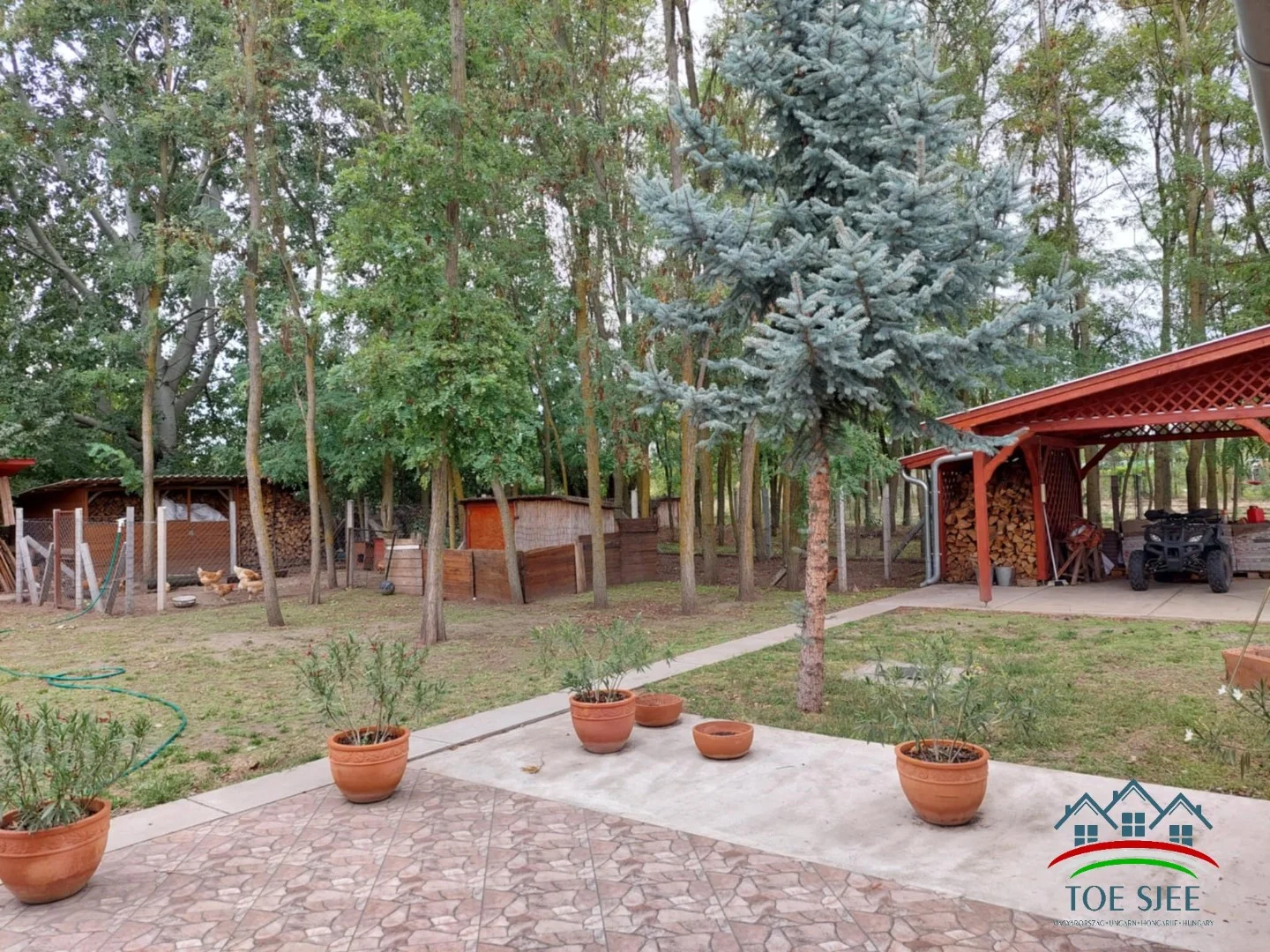 Tiszajenőn eladó családi birtok (idn241016) - Kép 16