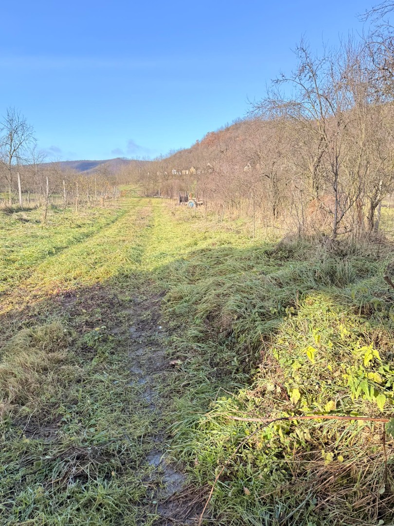 Eladó családi ház Nagybarcan - Kép 14