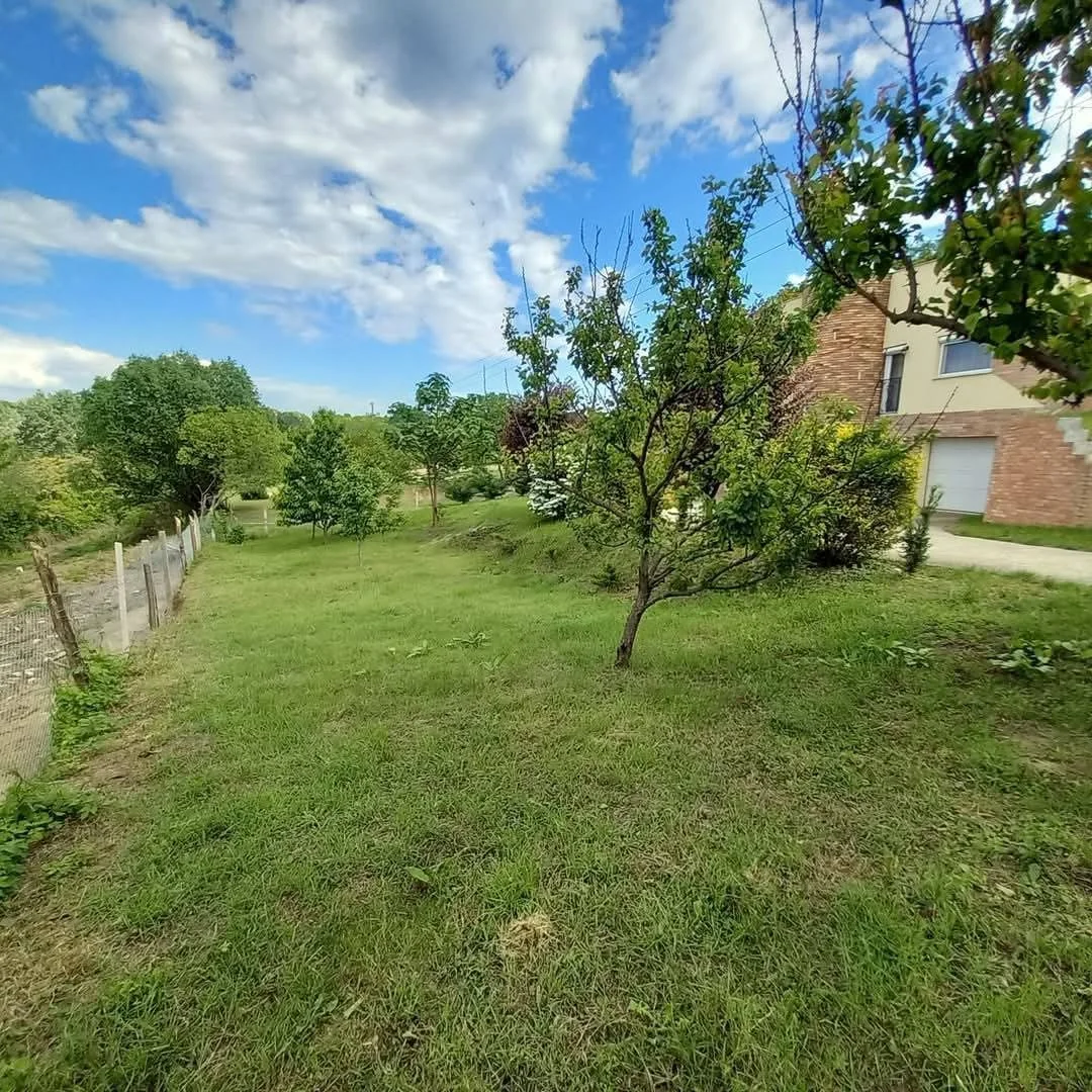 Különleges organikus dombház - Kép 4