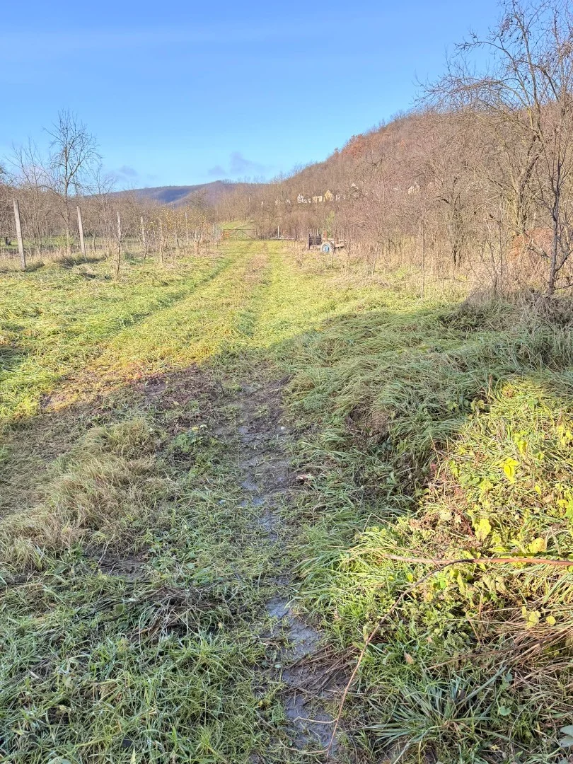 Eladó családi ház Nagybarcan - Kép 13