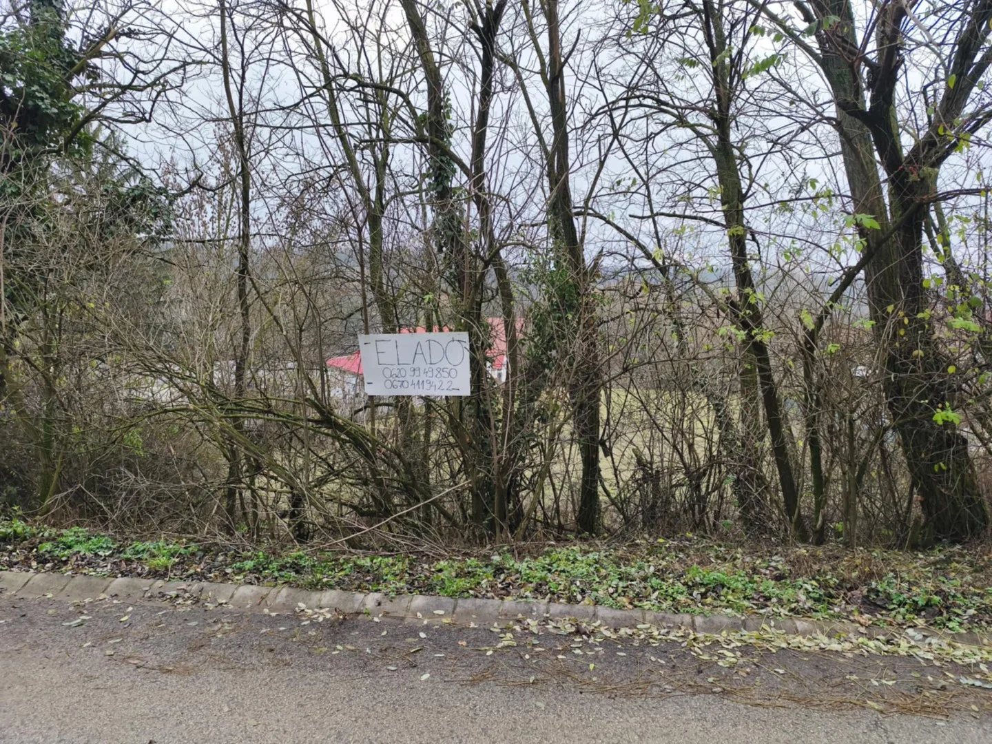 Gombai 3341m2 belterületi telek eladó - Kép 4