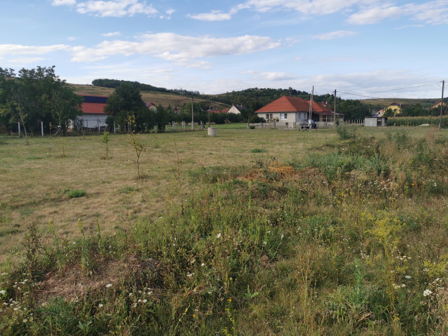 Természetközeli építési telek eladó! - Kép 5