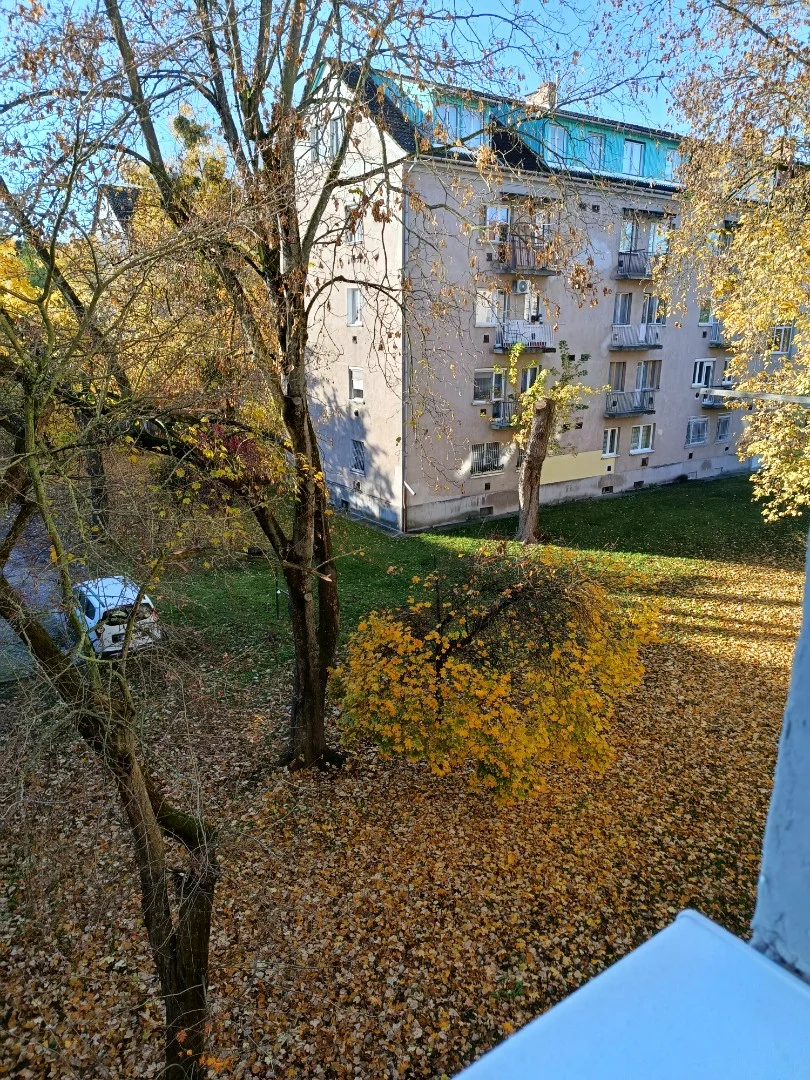Kiadó tégla lakás Miskolcon - Kép 13