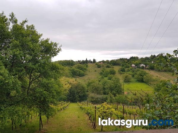 Zártkerti Ingatlan Zalaegerszegen A Csácsi-Hegyen - Panorámával És Különleges Környezettel! - Kép 3